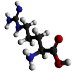 component